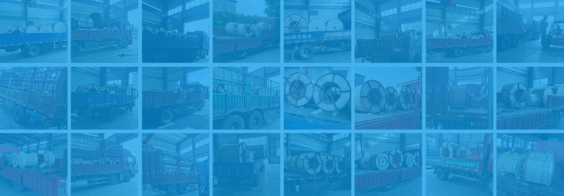 專業(yè) 高效 品質 服務